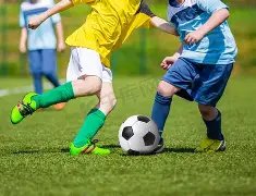 塔神揭秘,厄德高选最,佳主帅竟将,乐鱼体育,LeYu,Sports,乐鱼体育官网,乐鱼体育官网,乐鱼体育下载,乐鱼体育APP