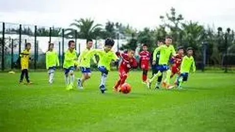 乐鱼体育 资讯 173321 loy